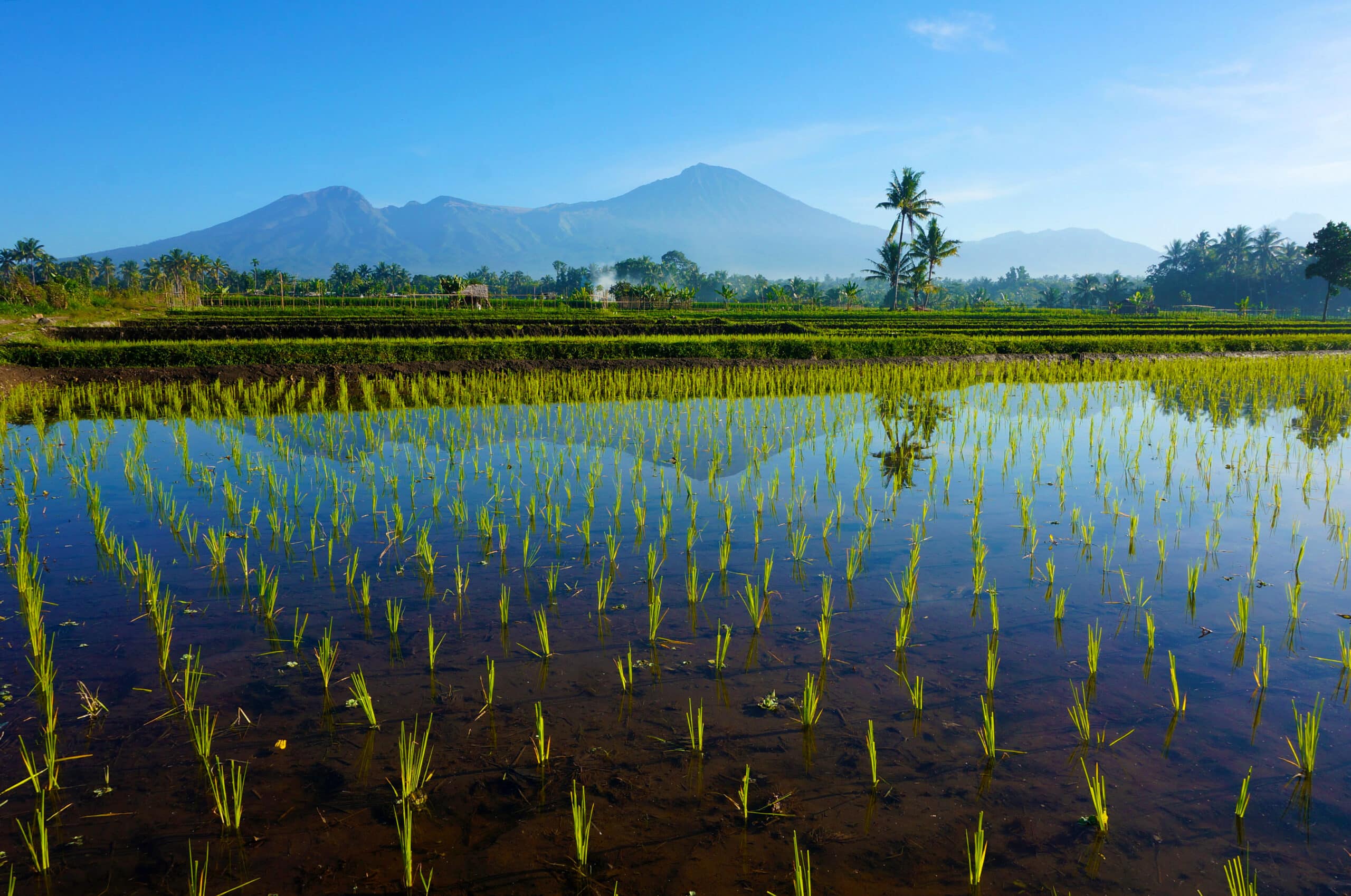 Indonesia Lombok island