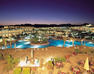 Jaz Sharm Dreams