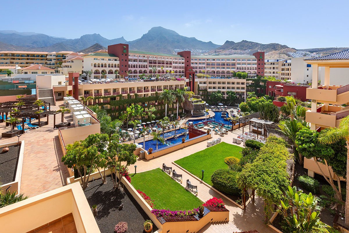 Tenerife Best Jacaranda