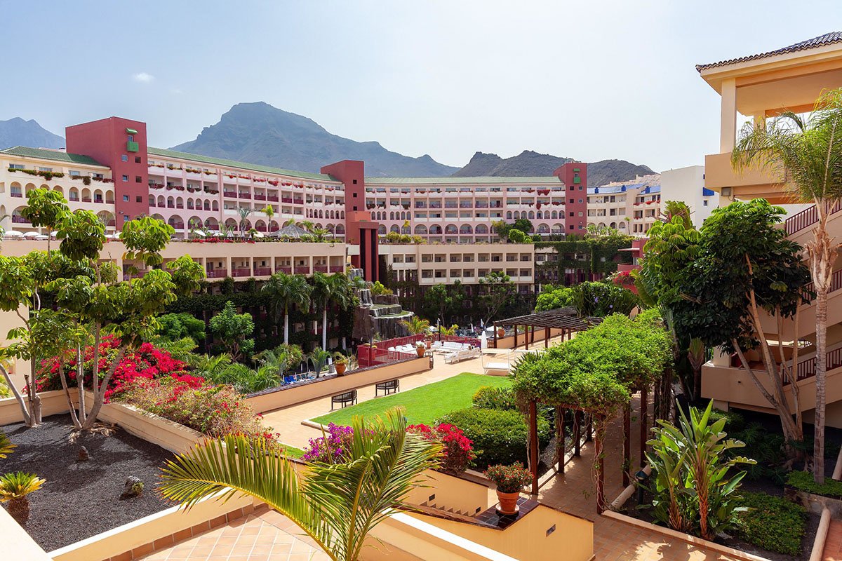 Tenerife Best Jacaranda